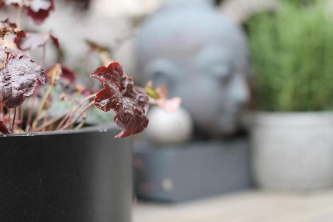 Exklusive Designferienwohnung The Backyard Tby 02 Trier Ngoại thất bức ảnh